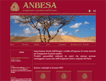 Tablet Screenshot of anbesa.org